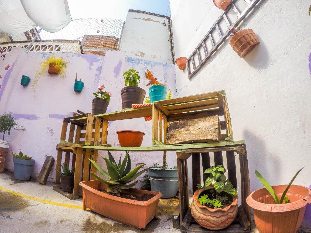 Casa Papa Chango San Cristóbal de Las Casas Exterior foto